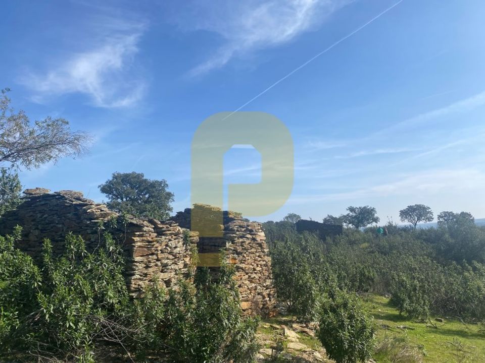 Helårsgrund i Rosmaninhal, Castelo Branco - foto 1
