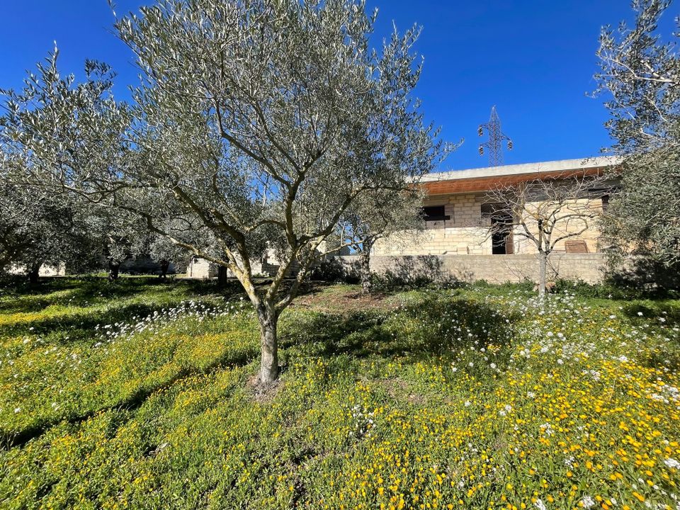 Villa i Modica, Ragusa - foto 2