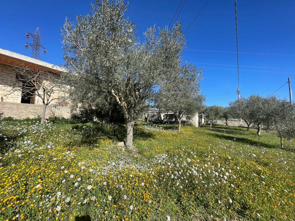 Villa i Modica, Ragusa - foto 3