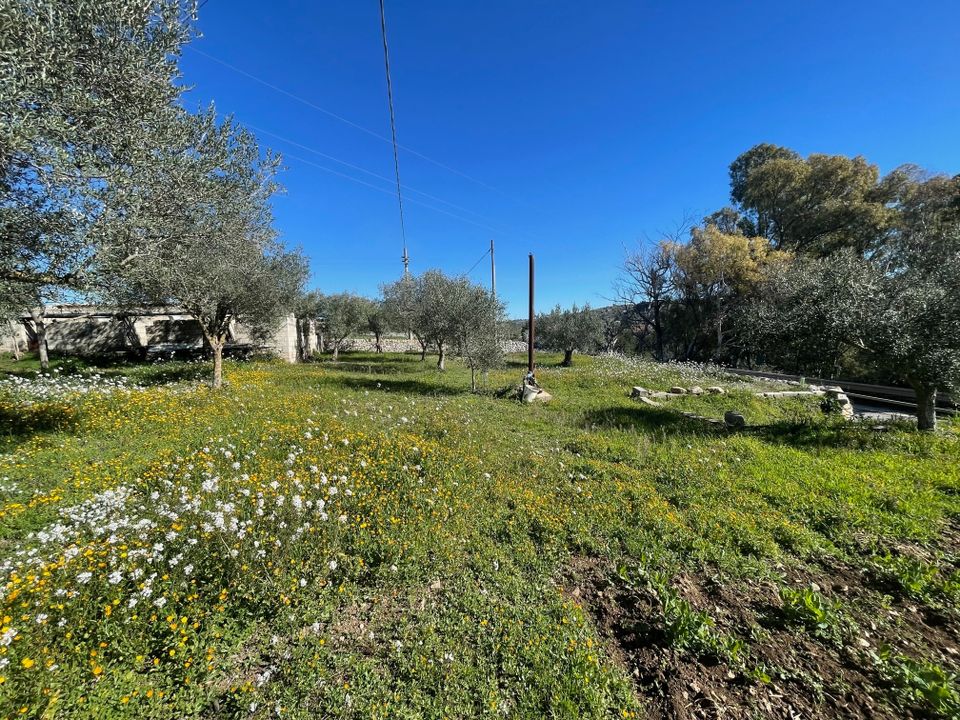 Villa i Modica, Ragusa - foto 4