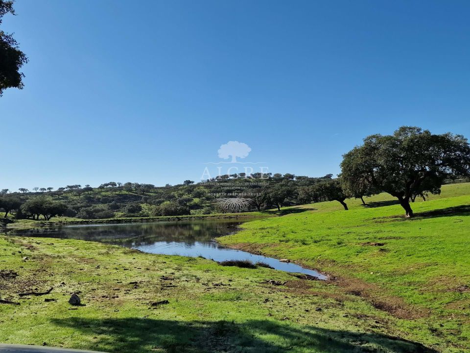 Helårsgrund i Reguengos de Monsaraz, Evora - foto 1