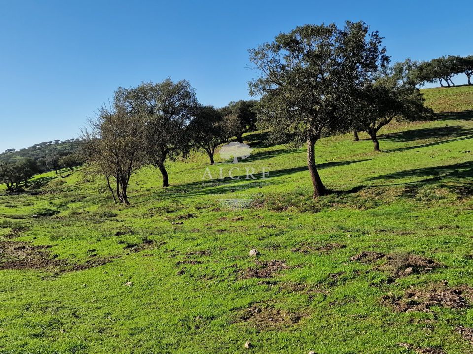 Helårsgrund i Reguengos de Monsaraz, Evora - foto 2