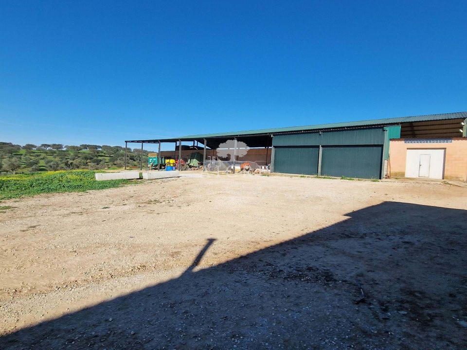 Helårsgrund i Reguengos de Monsaraz, Evora - foto 3