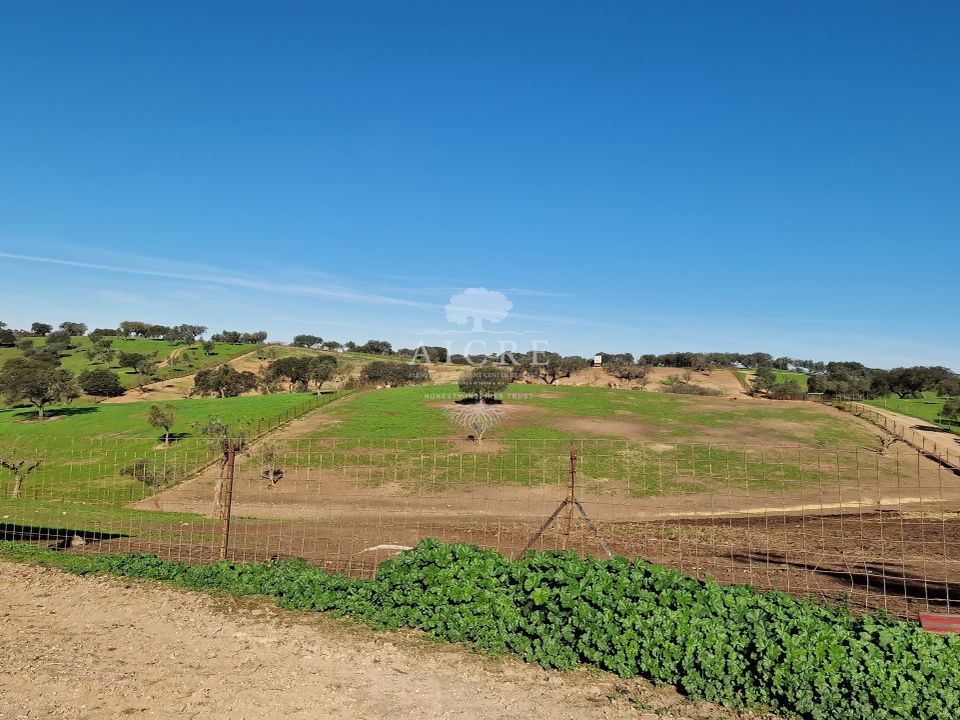 Helårsgrund i Reguengos de Monsaraz, Evora - foto 5