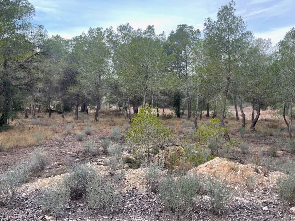 Helårsgrund i La Nucia, Alicante - foto 3