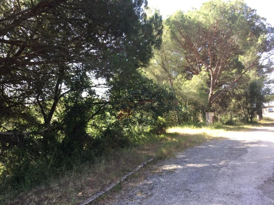 Tomt i Sant Marti Vell, Gerona - bilde 1