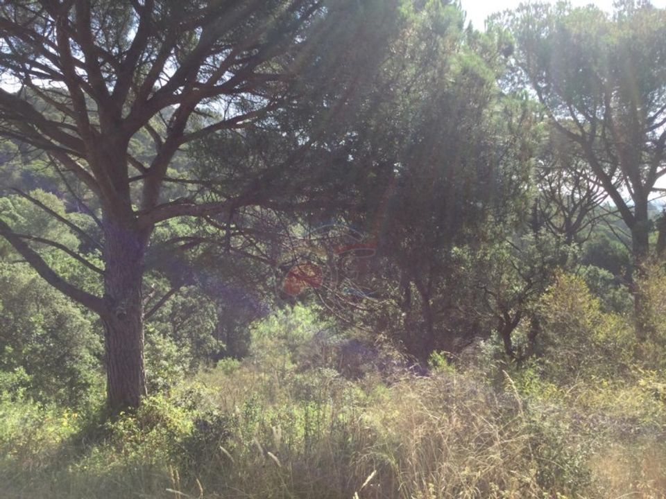 Tomt i Sant Marti Vell, Gerona - bilde 2