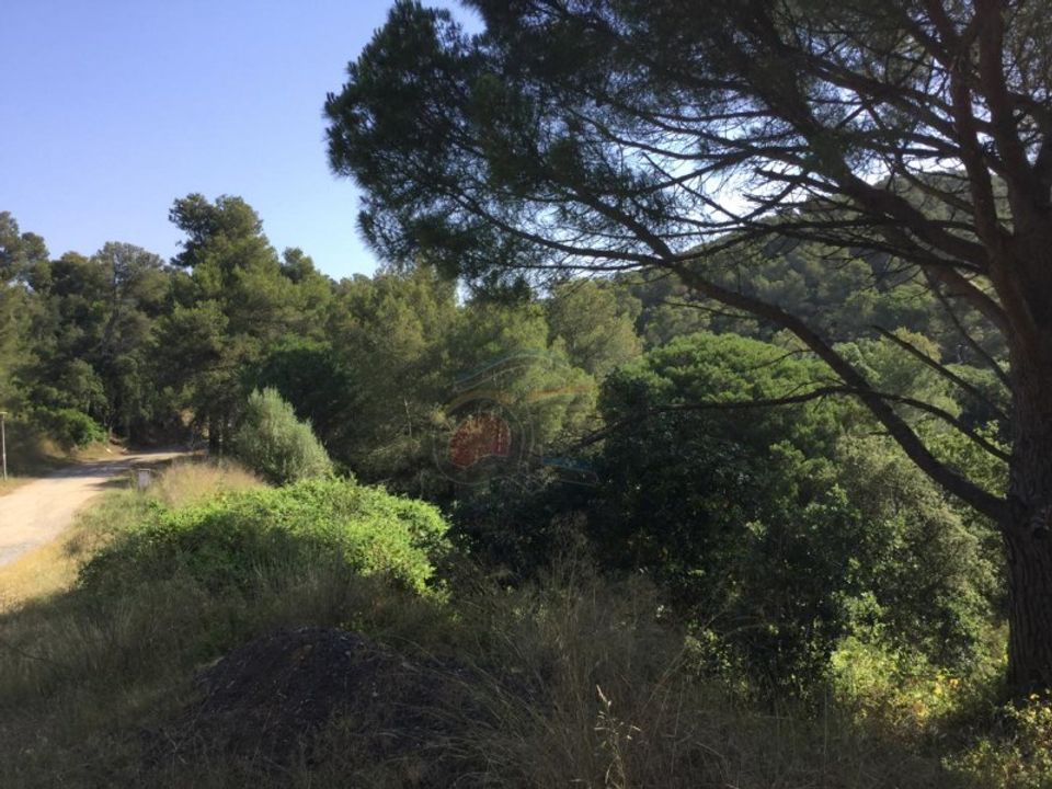 Tomt i Sant Marti Vell, Gerona - bilde 3