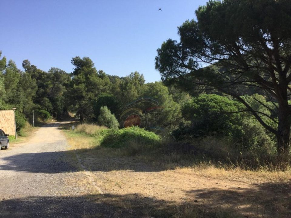 Tomt i Sant Marti Vell, Gerona - bilde 5