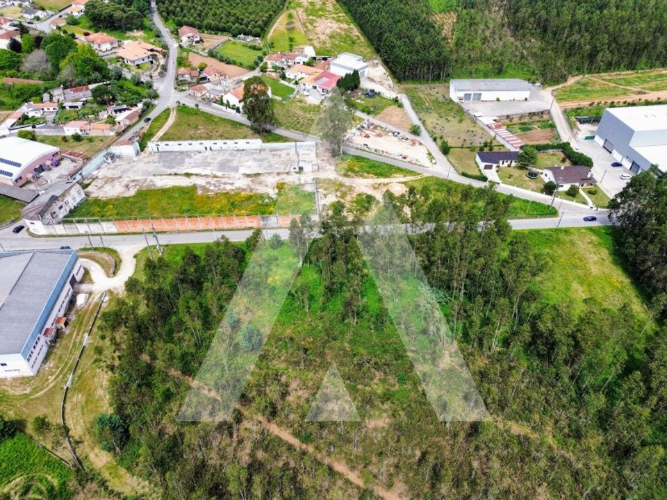 Helårsgrund i Macinhata do Vouga, Aveiro - foto 4