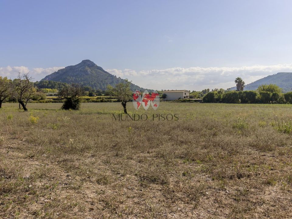 Helårsgrund i Alcudia, Mallorca - foto 4