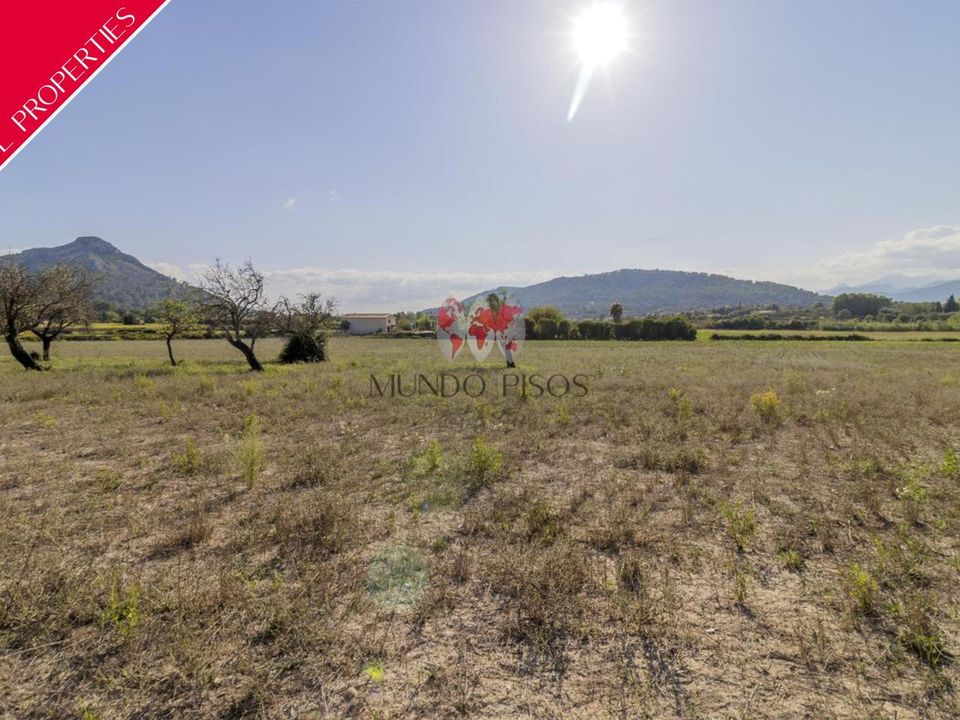 Helårsgrund i Alcudia, Mallorca - foto 1