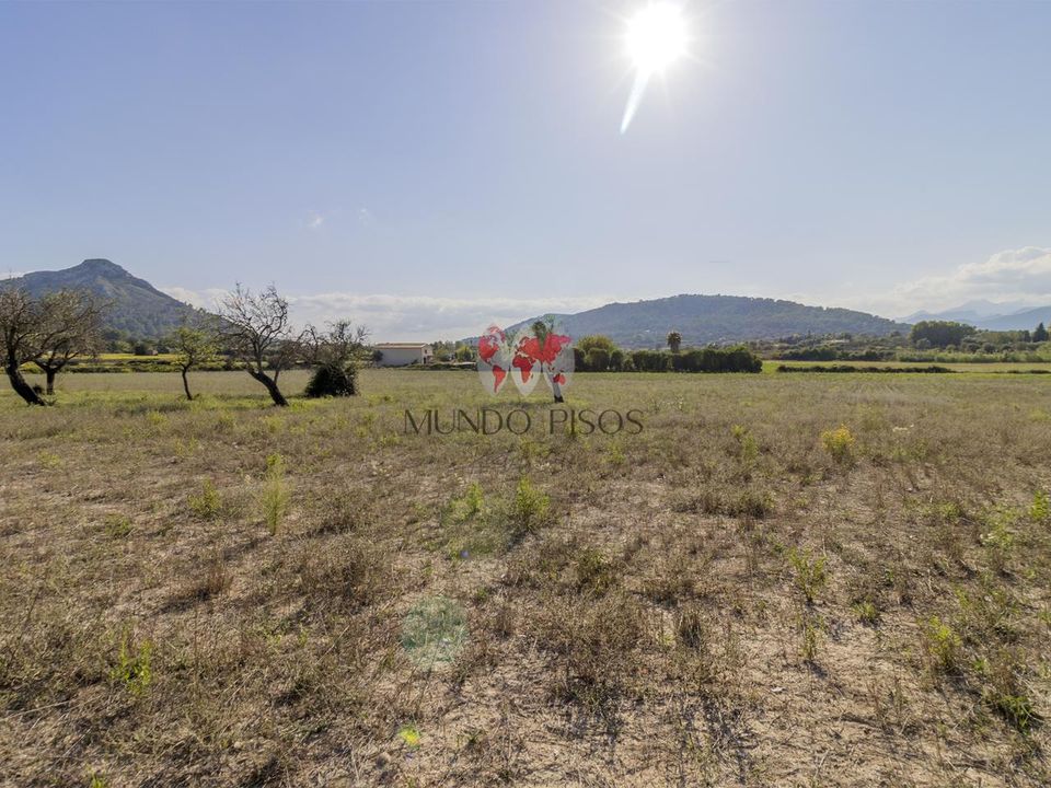 Helårsgrund i Alcudia, Mallorca - foto 2