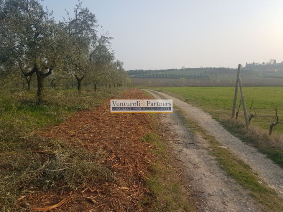 Tomt i San Felice del Benaco, Brescia - bilde 5