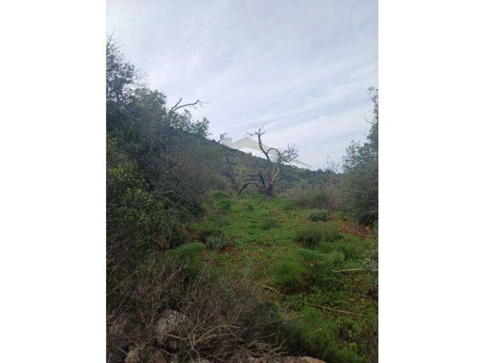 Helårsgrund i Moncarapacho, Faro - foto 5