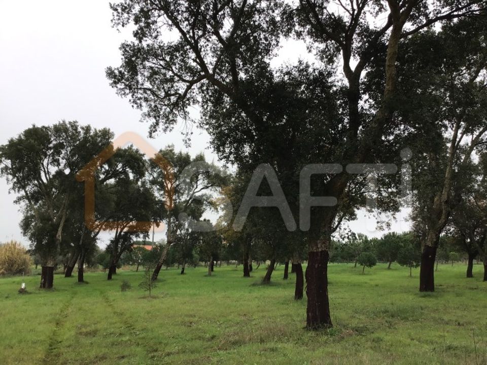 Helårsgrund i Tomar, Santarem - foto 2