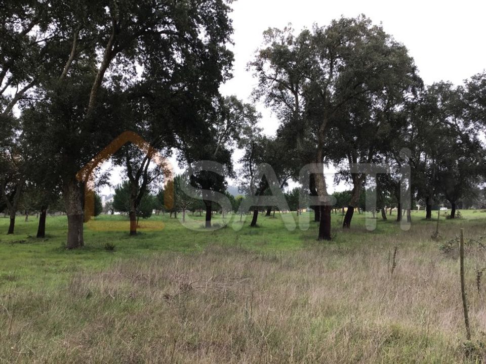 Helårsgrund i Tomar, Santarem - foto 5