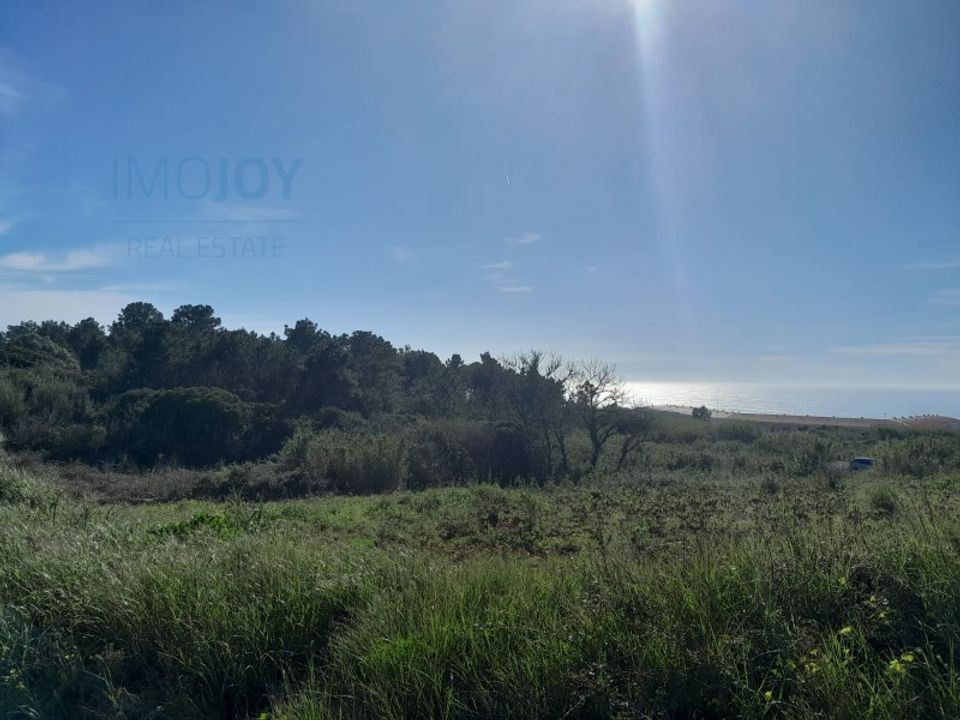 Terra a Ericeira, Lisbon - foto 1