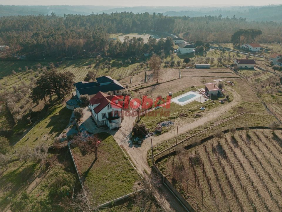 Farm i Tondela, Viseu - foto 3