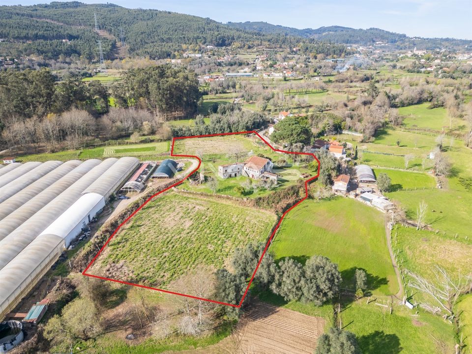 Farm i Vila Verde, Braga - foto 4