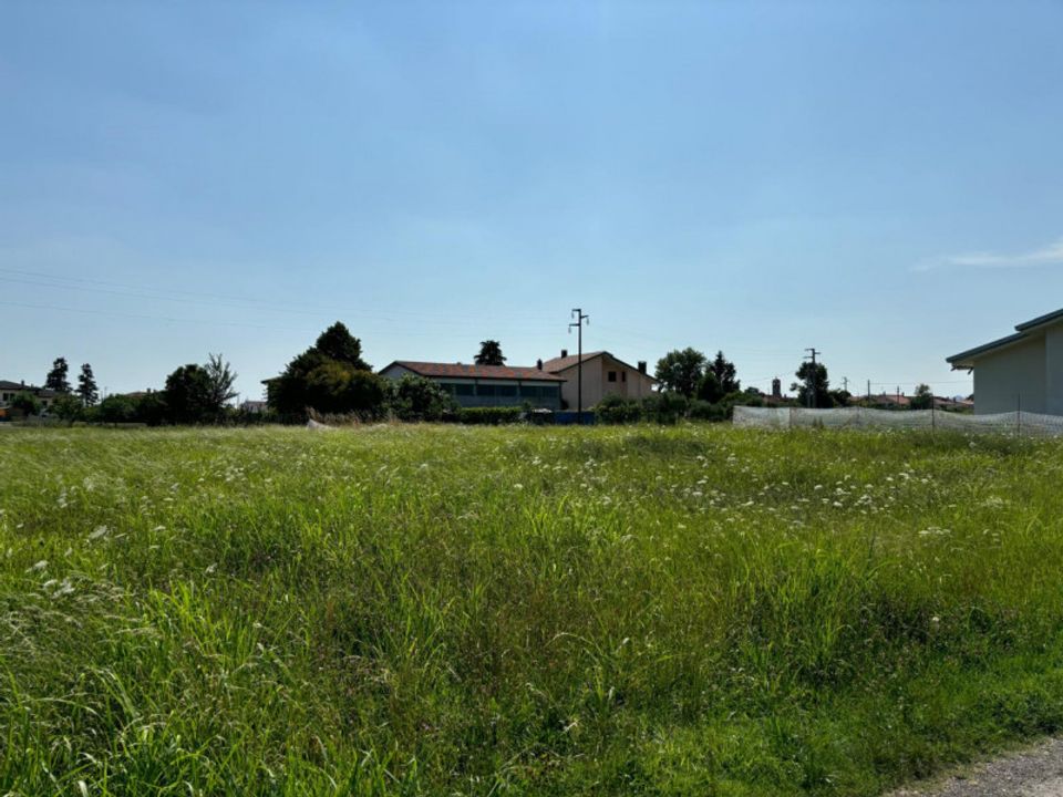 Terra a San Pietro Viminario, Padua - foto 3