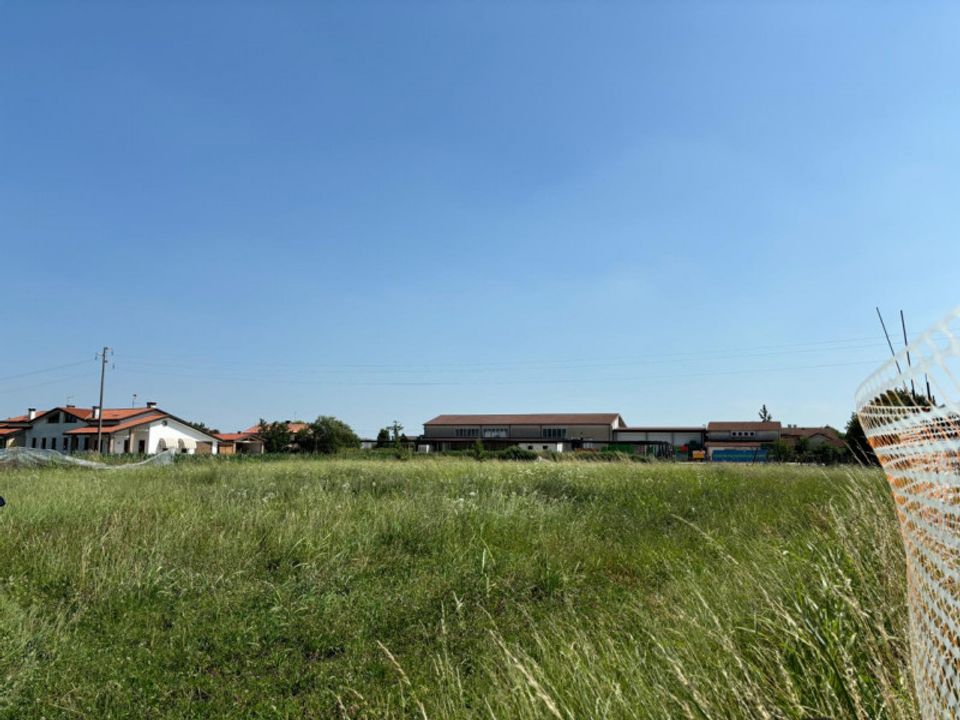Terra a San Pietro Viminario, Padua - foto 4