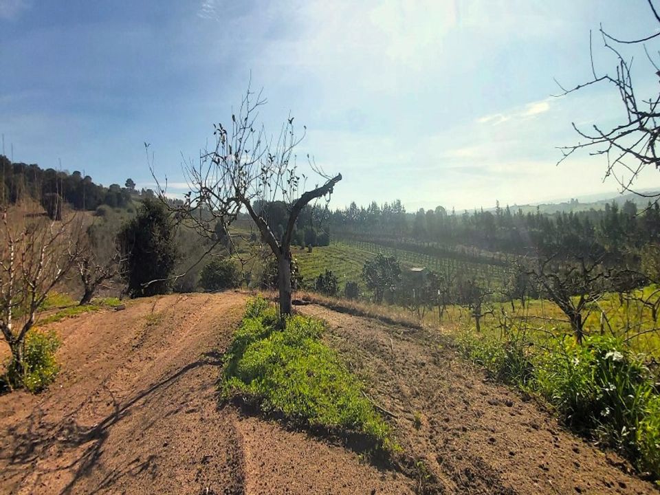 Helårsgrund i Bombarral, Leiria - foto 1