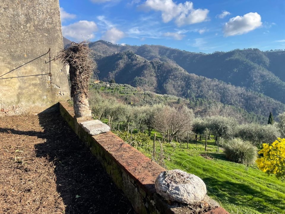 Herregård i Lucca, Lucca - bilde 5