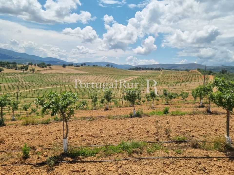 Landejendom i Fundao, Castelo Branco - foto 2