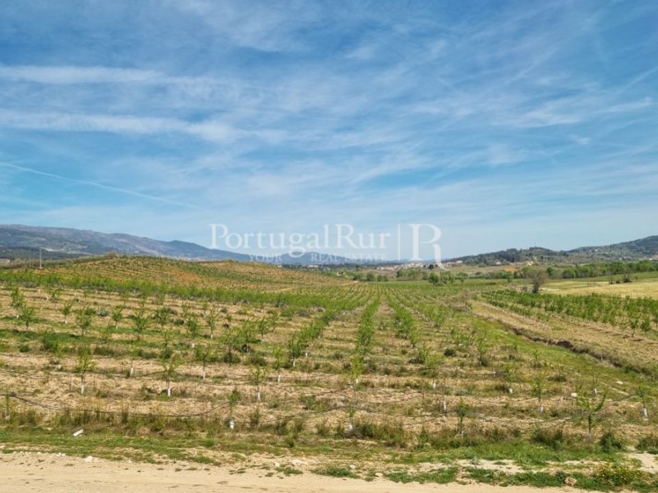 Landejendom i Fundao, Castelo Branco - foto 3