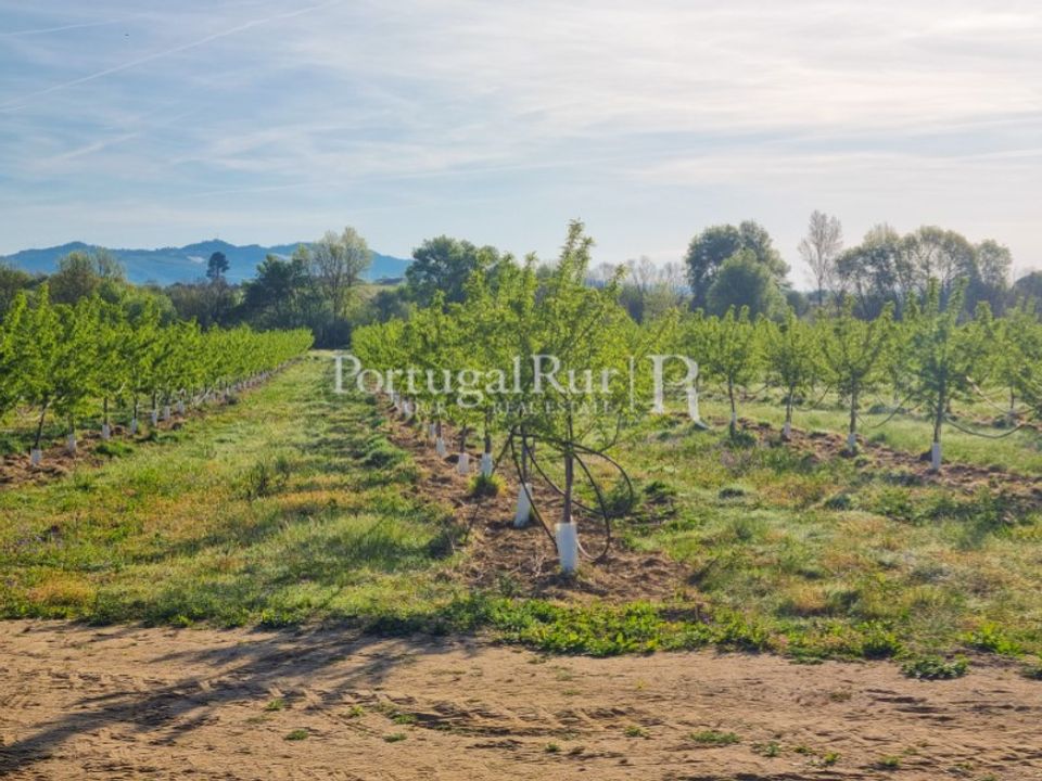 Landejendom i Fundao, Castelo Branco - foto 4