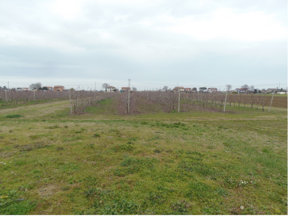 Erhvervsejendom i Cesena, Forli-Cesena - foto 2