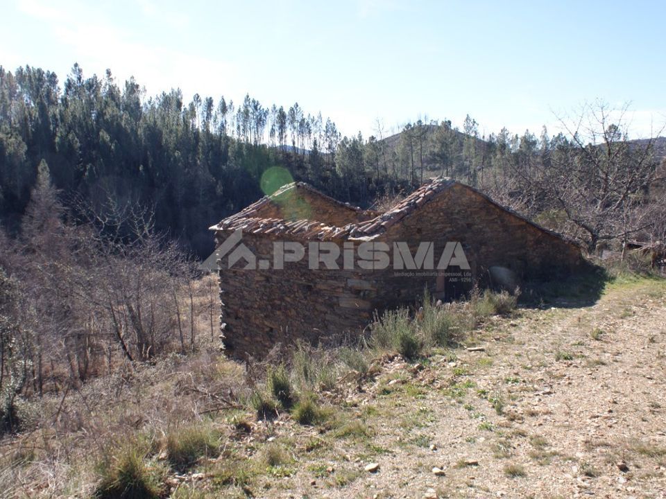 Farm i Fundao, Castelo Branco - foto 1