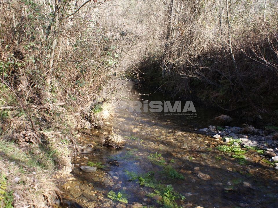 Farm i Fundao, Castelo Branco - foto 2