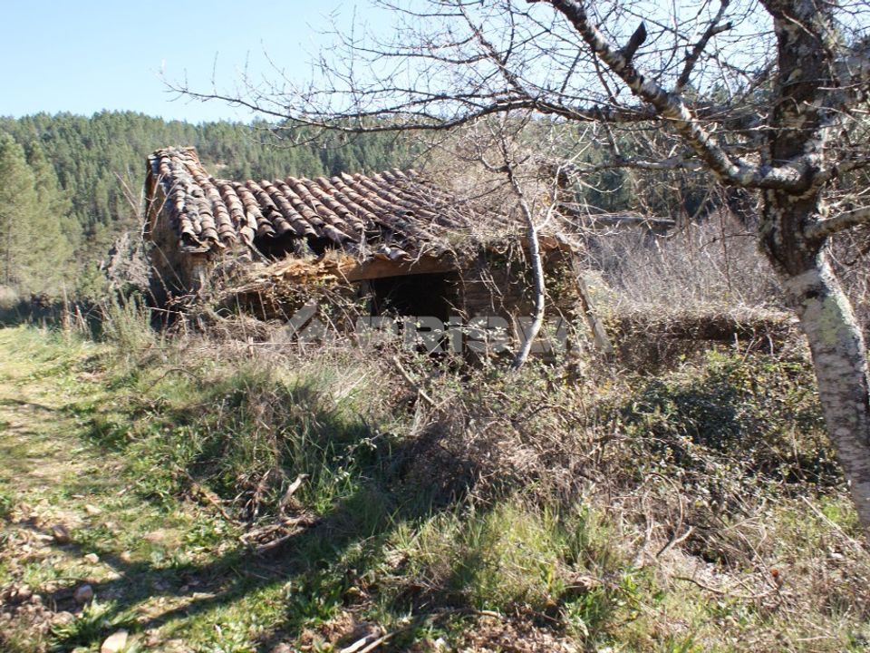 Farm i Fundao, Castelo Branco - foto 4