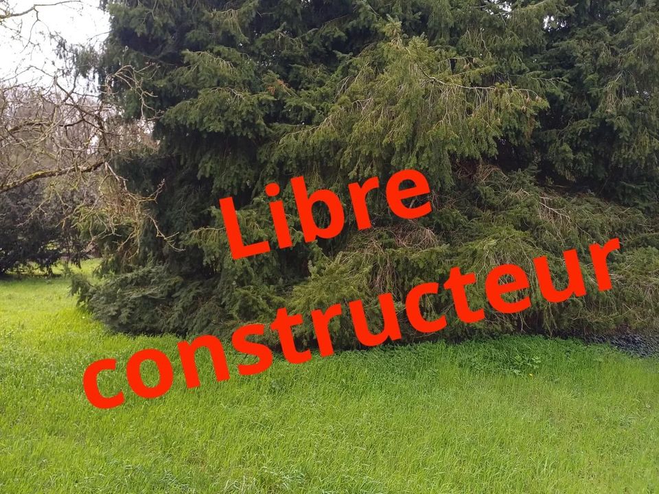 Helårsgrund i Maisse, Essonne - foto 1