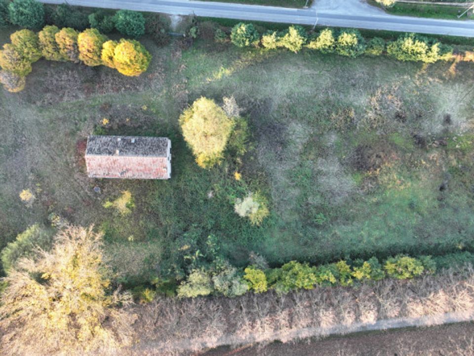 Villa a San Pietro Viminario, Padua - foto 5