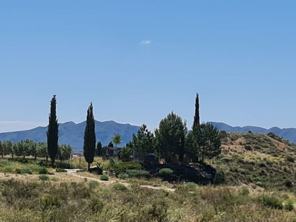 Villa i Murcia, Murcia - foto 4