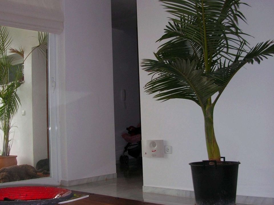 Villa i Rincon De La Victoria, Malaga - foto 4