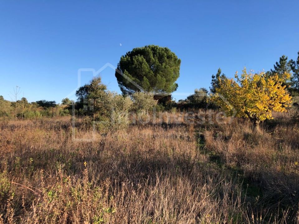 Terra a Ninho do Acor, Castelo Branco - foto 2