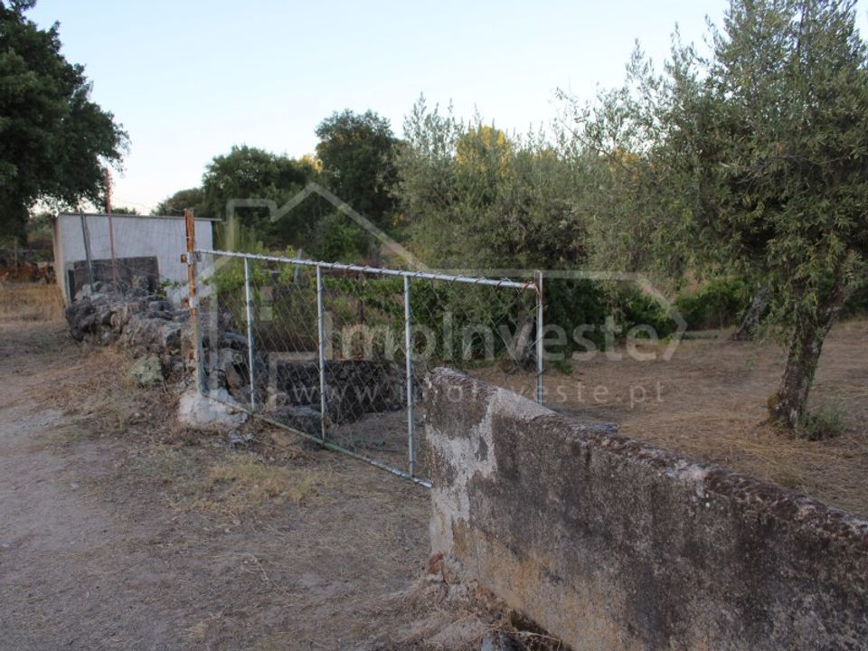 Helårsgrund i Castelo Branco, Castelo Branco - foto 1