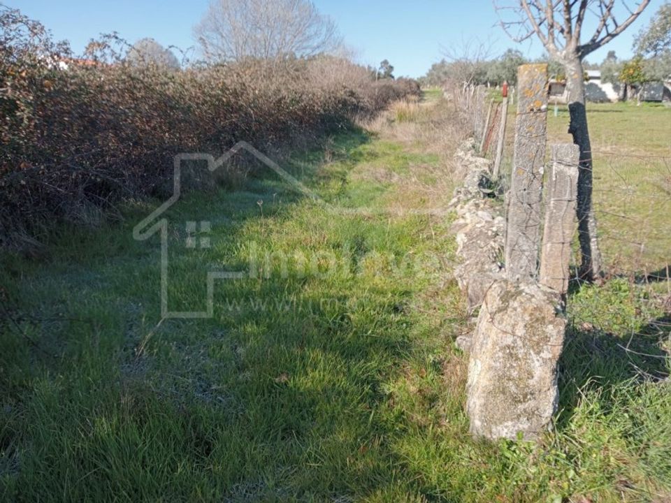Terra a Ninho do Acor, Castelo Branco - foto 1