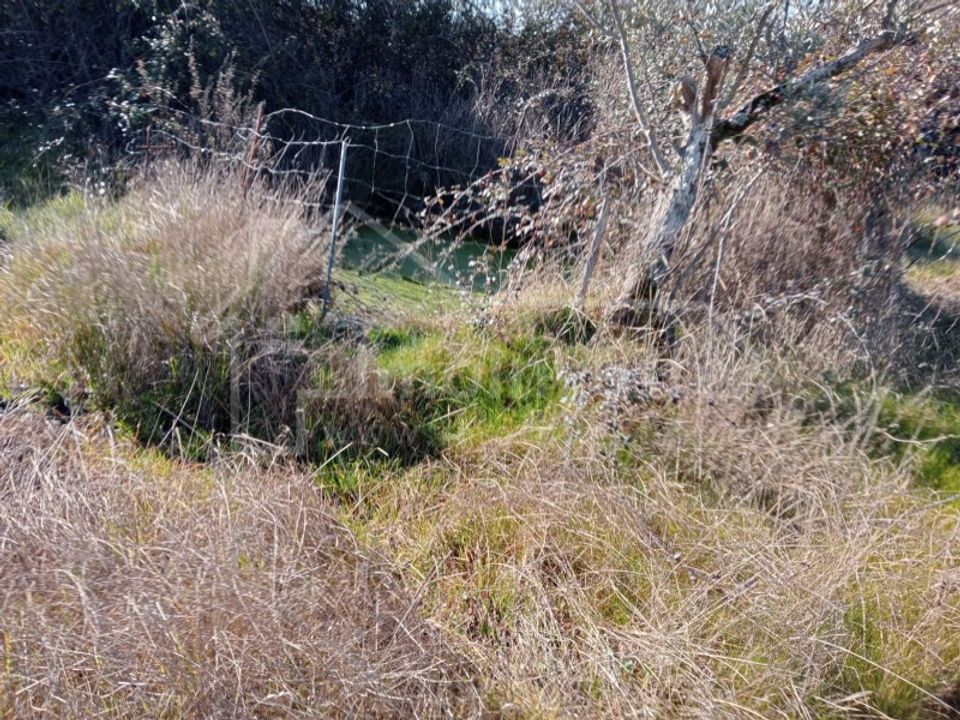 Terra a Ninho do Acor, Castelo Branco - foto 3