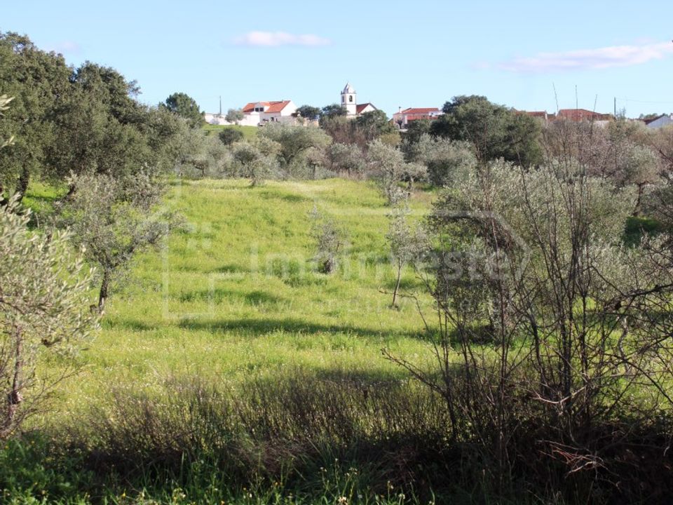 Terreno en Ninho do Acor, Castelo Branco - foto 1