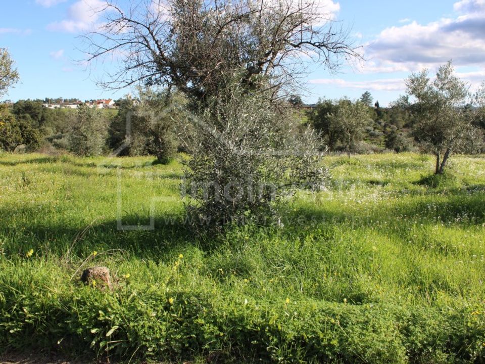 Terreno en Ninho do Acor, Castelo Branco - foto 2