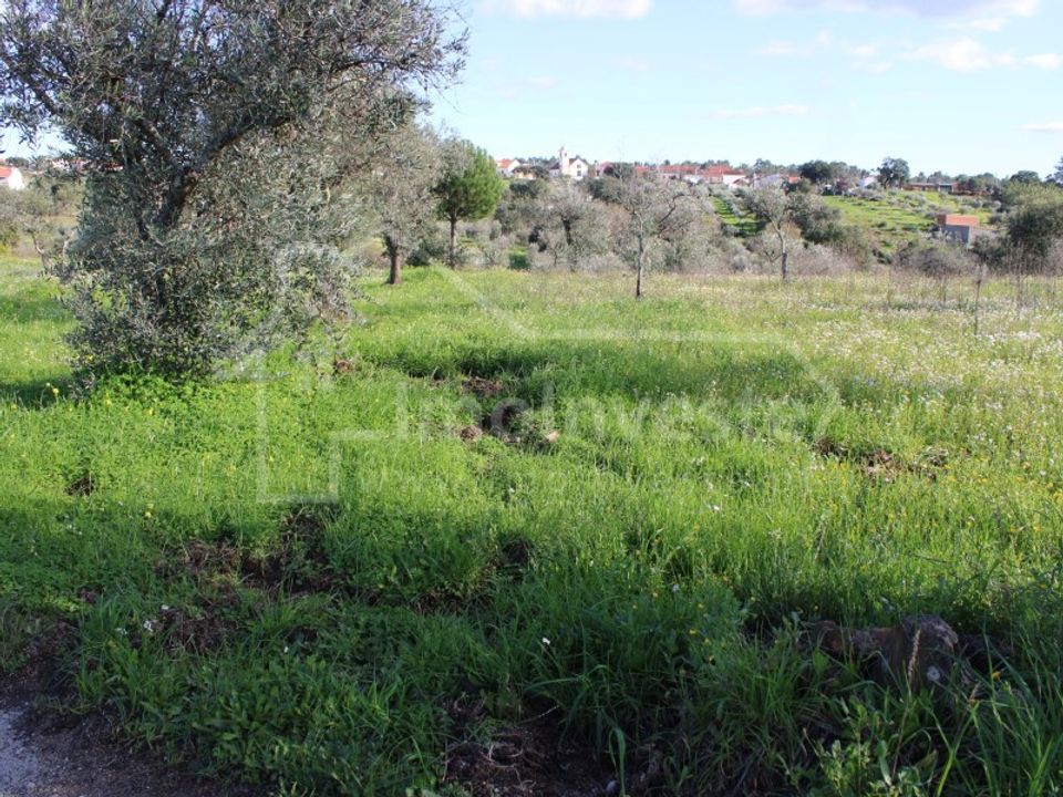 Terreno en Ninho do Acor, Castelo Branco - foto 4