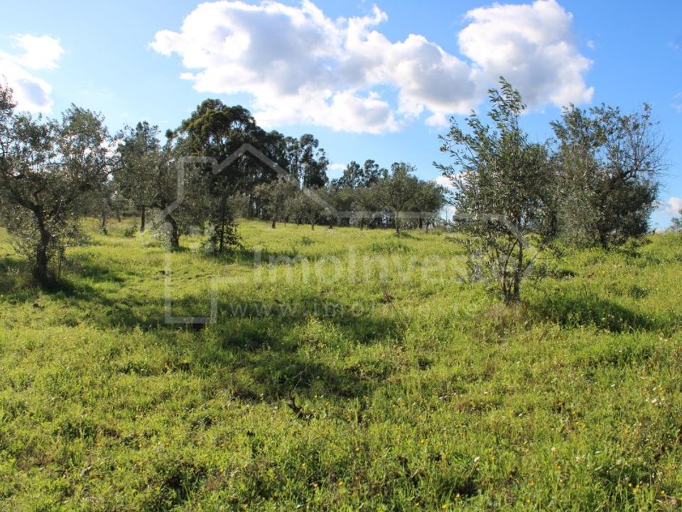 Terreno en Ninho do Acor, Castelo Branco - foto 5