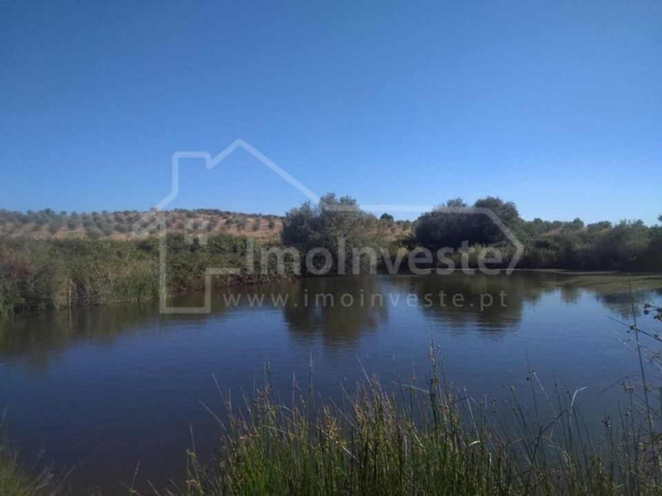 Farm i Ladoeiro, Castelo Branco - foto 1