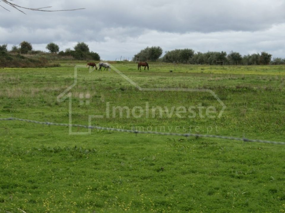 Farm i Ladoeiro, Castelo Branco - foto 2