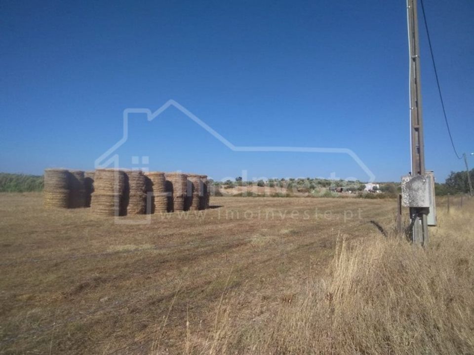 Farm i Ladoeiro, Castelo Branco - foto 5